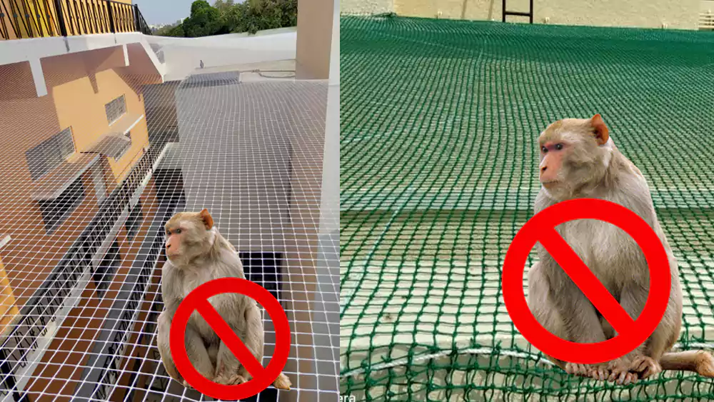 Balcony Safety Nets